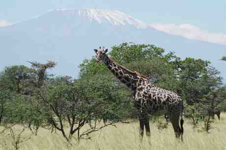 kenya22.jpg